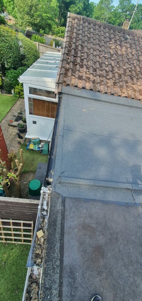 WhatsApp Image 2024-06-03 at 18.43.20