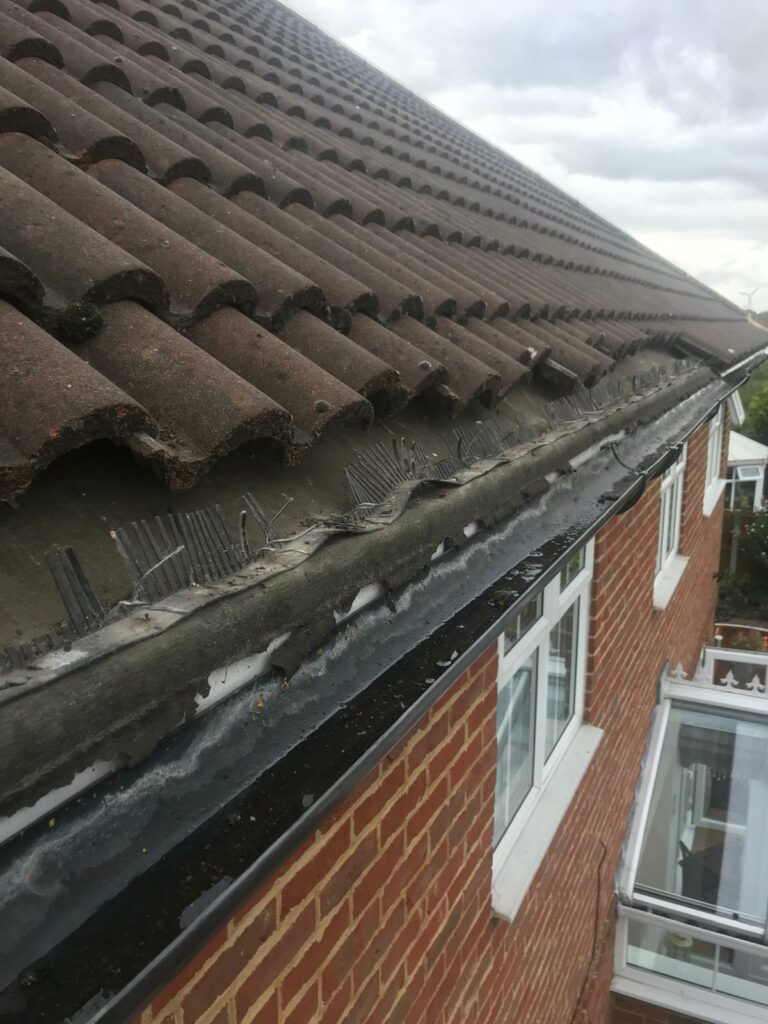 WhatsApp Image 2024-05-03 at 00.00.50 (6)