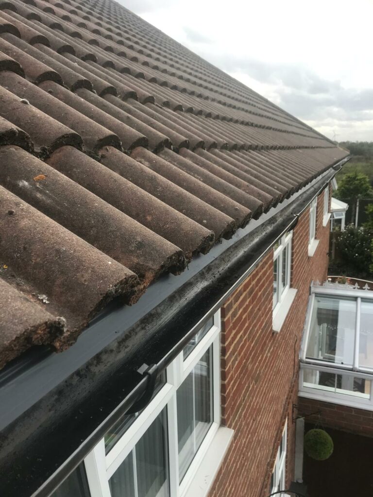 WhatsApp Image 2024-05-03 at 00.00.50 (8)