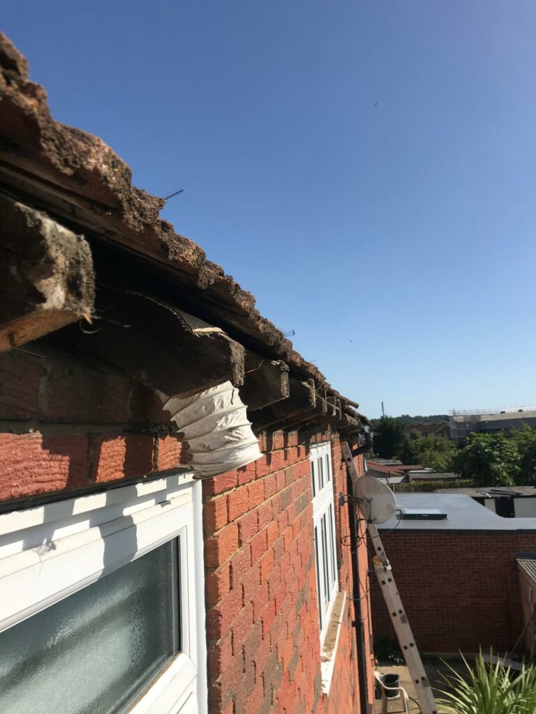 WhatsApp Image 2024-05-03 at 00.01.34 (1)